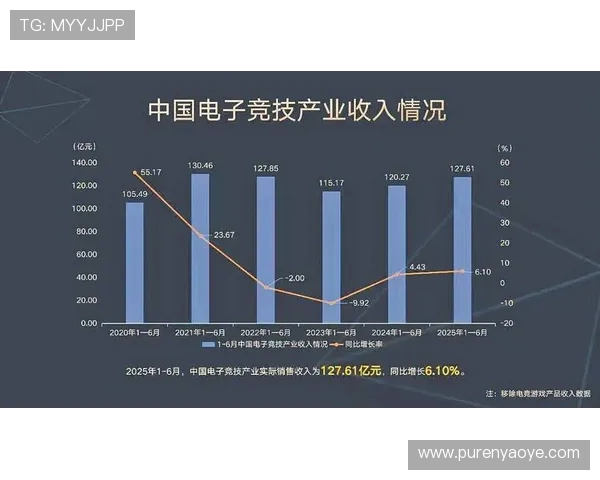 聚焦电竞产业发展探讨数字竞技文化崛起与青年创新力量融合路径